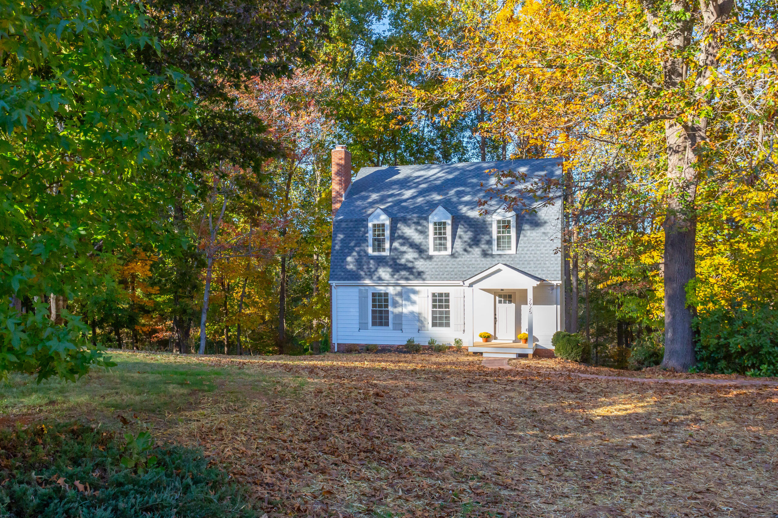 Tall Tree Court — Project photo 4 of 7